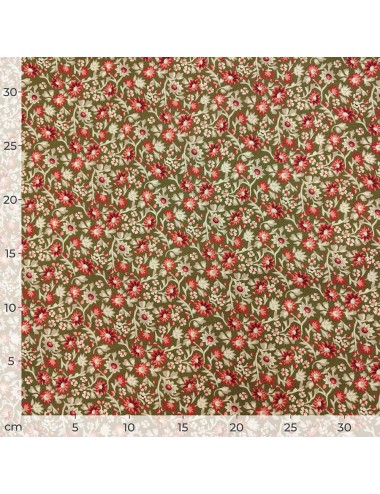 Comprar Tela Garden Burst | Windham Fabrics