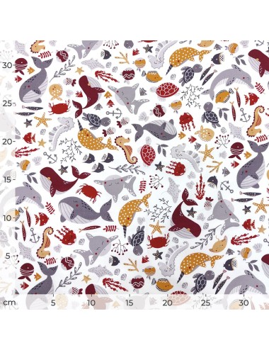 Comprar Tela Whales & Friends | Studio e Fabrics