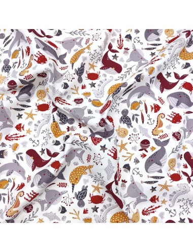 Comprar Tela Whales & Friends | Studio e Fabrics